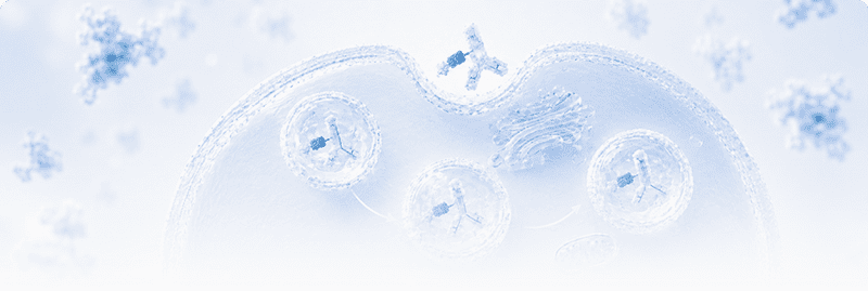 Antibody Internalization Detection & Labeling Kits